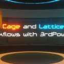 Cage and Lattice Workflows by Ryan Roye [RR]